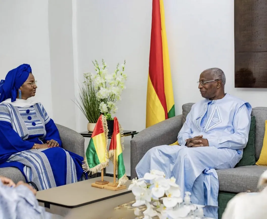 Entretien officiel devant le drapeau de la Guinée